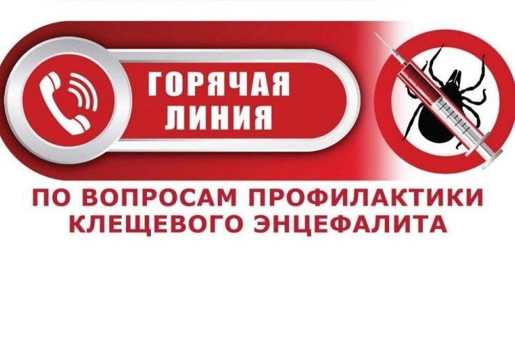 Горячая линия